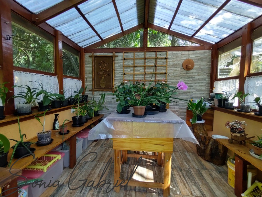 Chácara, 5 quartos, 5492 m² - Foto 70