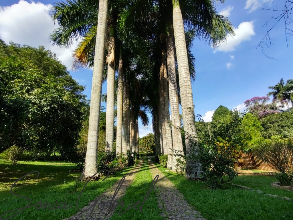 Chácara, 5 quartos, 5492 m² - Foto 4