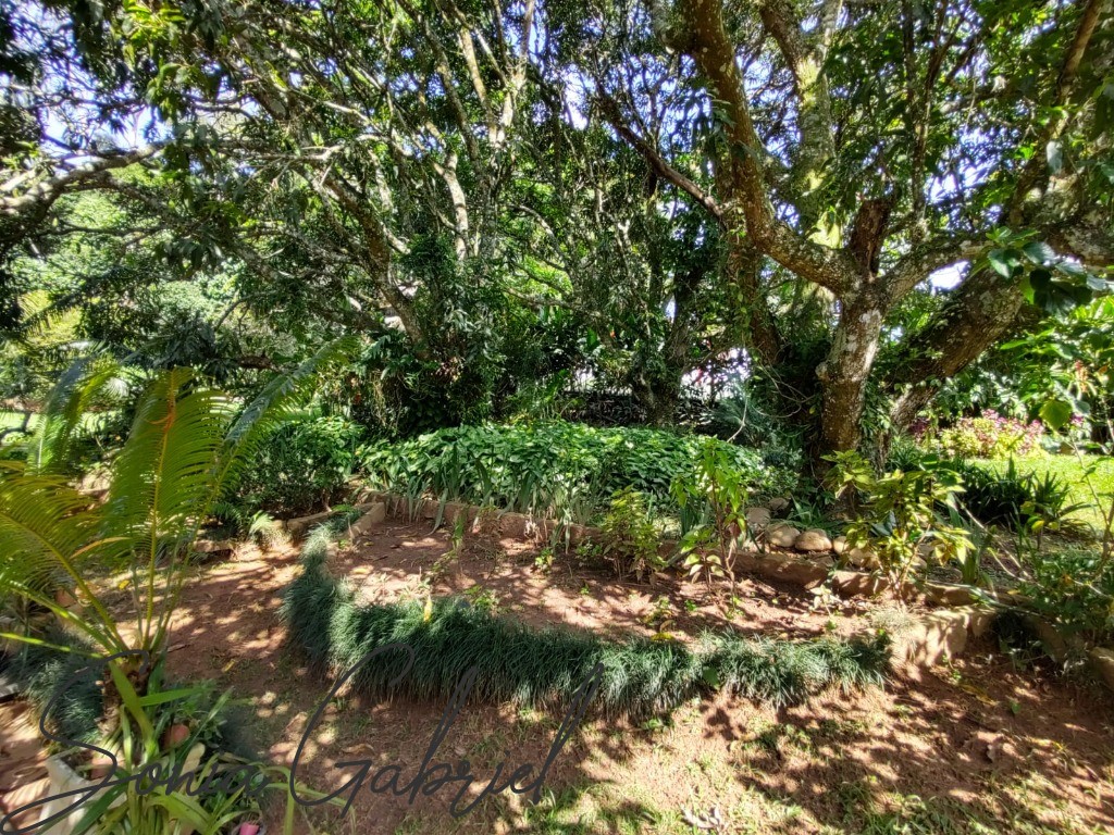 Chácara, 5 quartos, 5492 m² - Foto 59