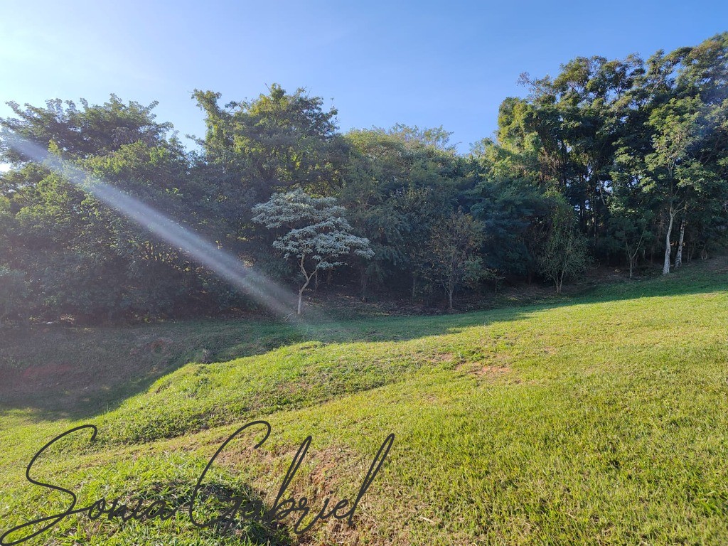 Terreno, 804 m² - Foto 7