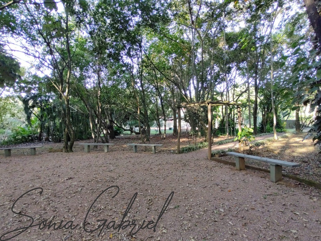 Casa, 3 quartos, 343 m² - Foto 50