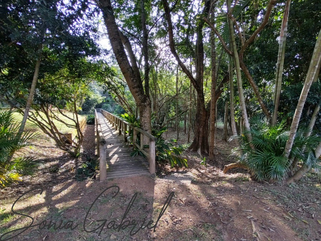 Casa, 3 quartos, 343 m² - Foto 49