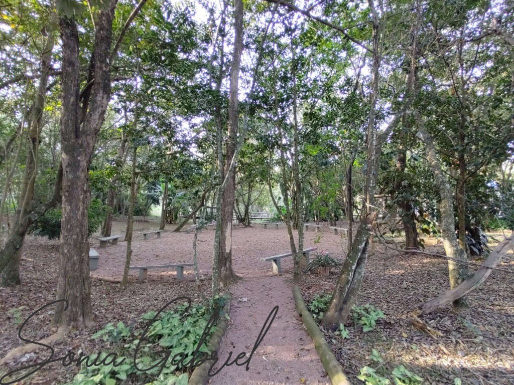 Casa, 3 quartos, 343 m² - Foto 51