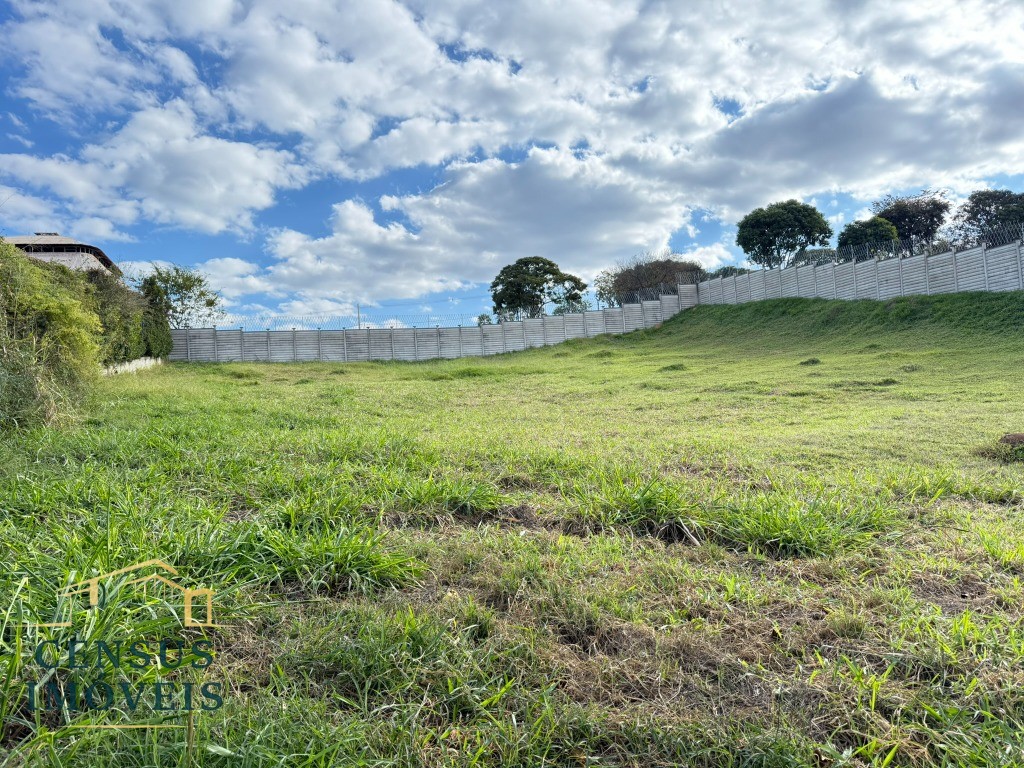 Terreno - Foto 3