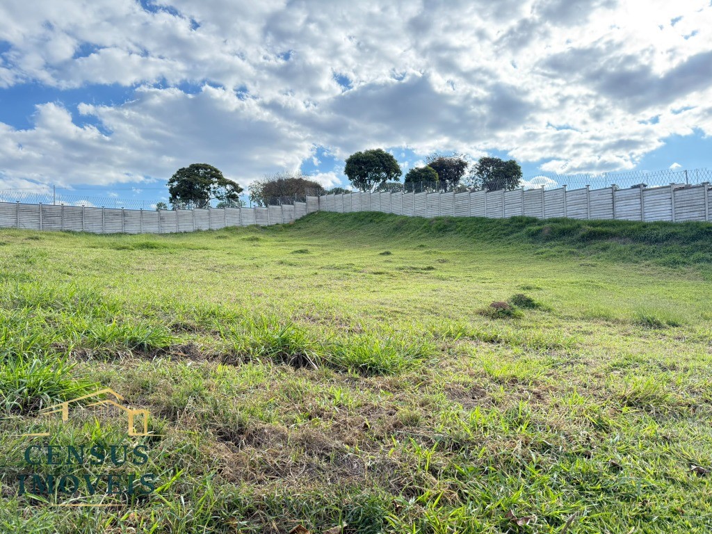 Terreno - Foto 4