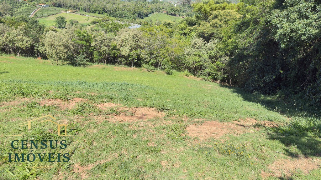 Terreno, 529 m² - Foto 6