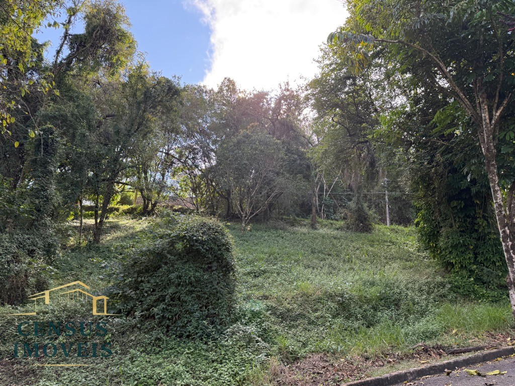 Terreno, 1275 m² - Foto 3