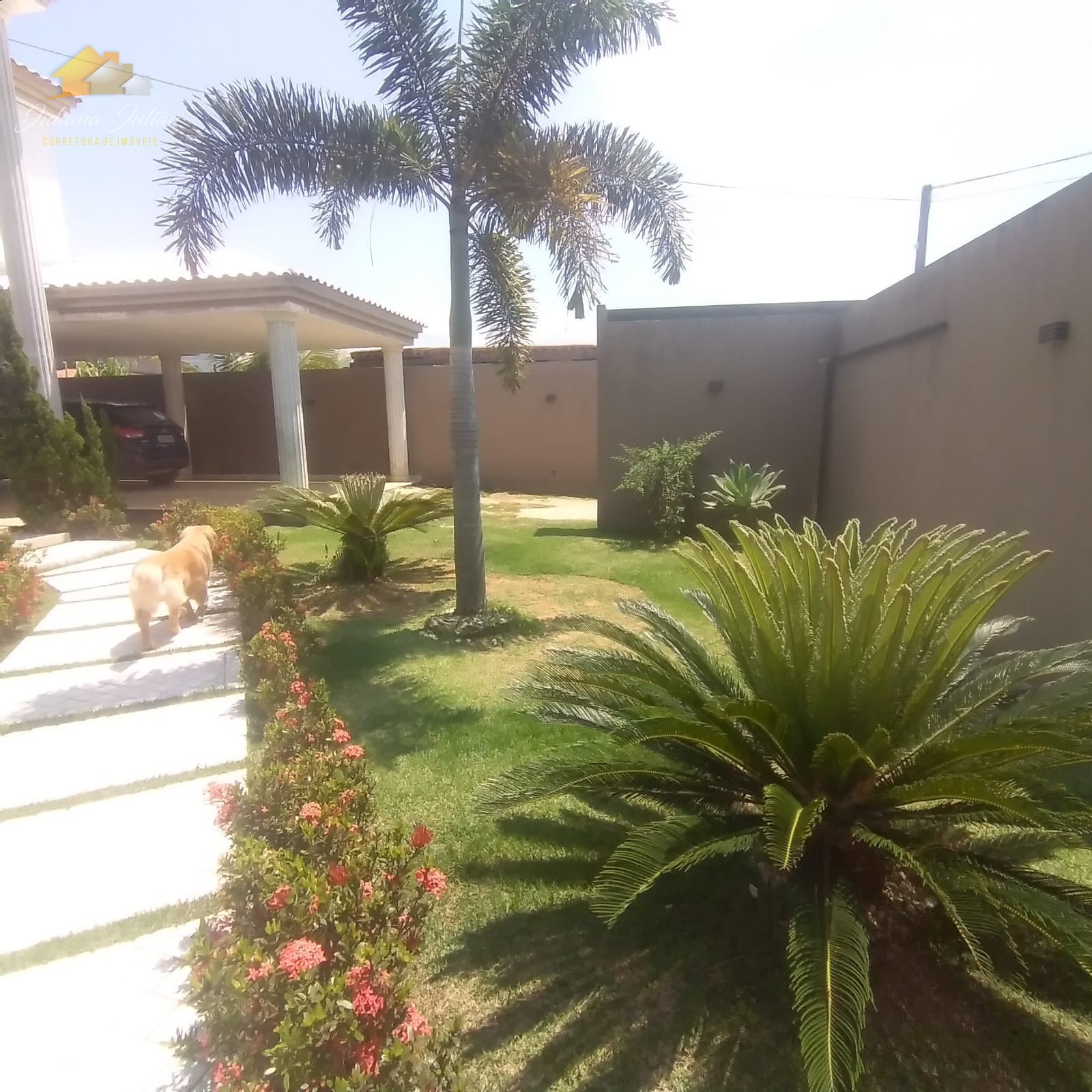 Casa, 3 quartos, 665 m² - Foto 4