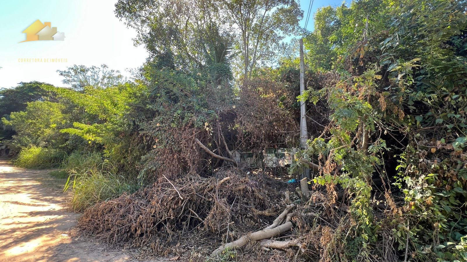 Terreno à venda, 1584m² - Foto 6