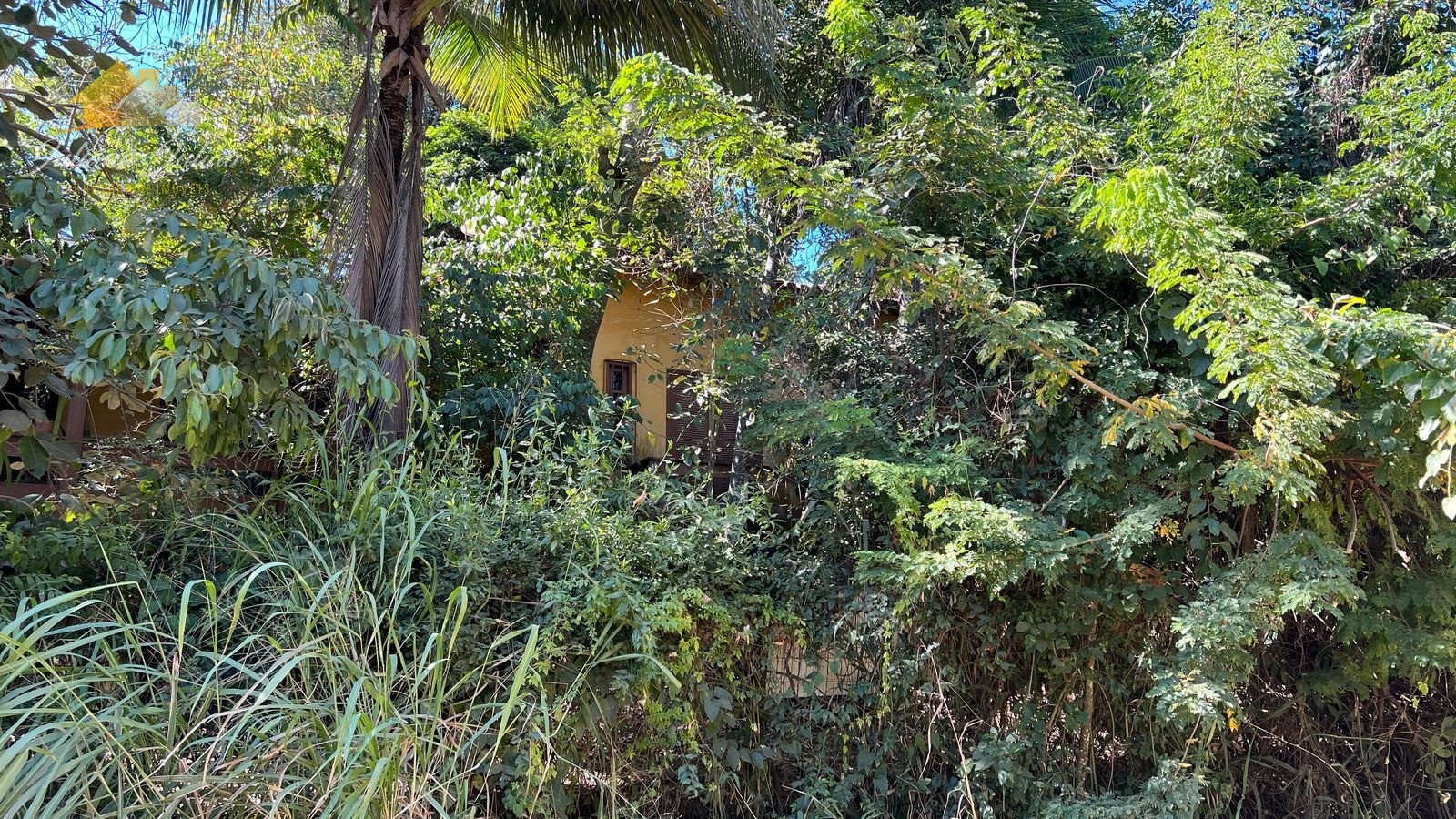 Terreno à venda, 1584m² - Foto 7