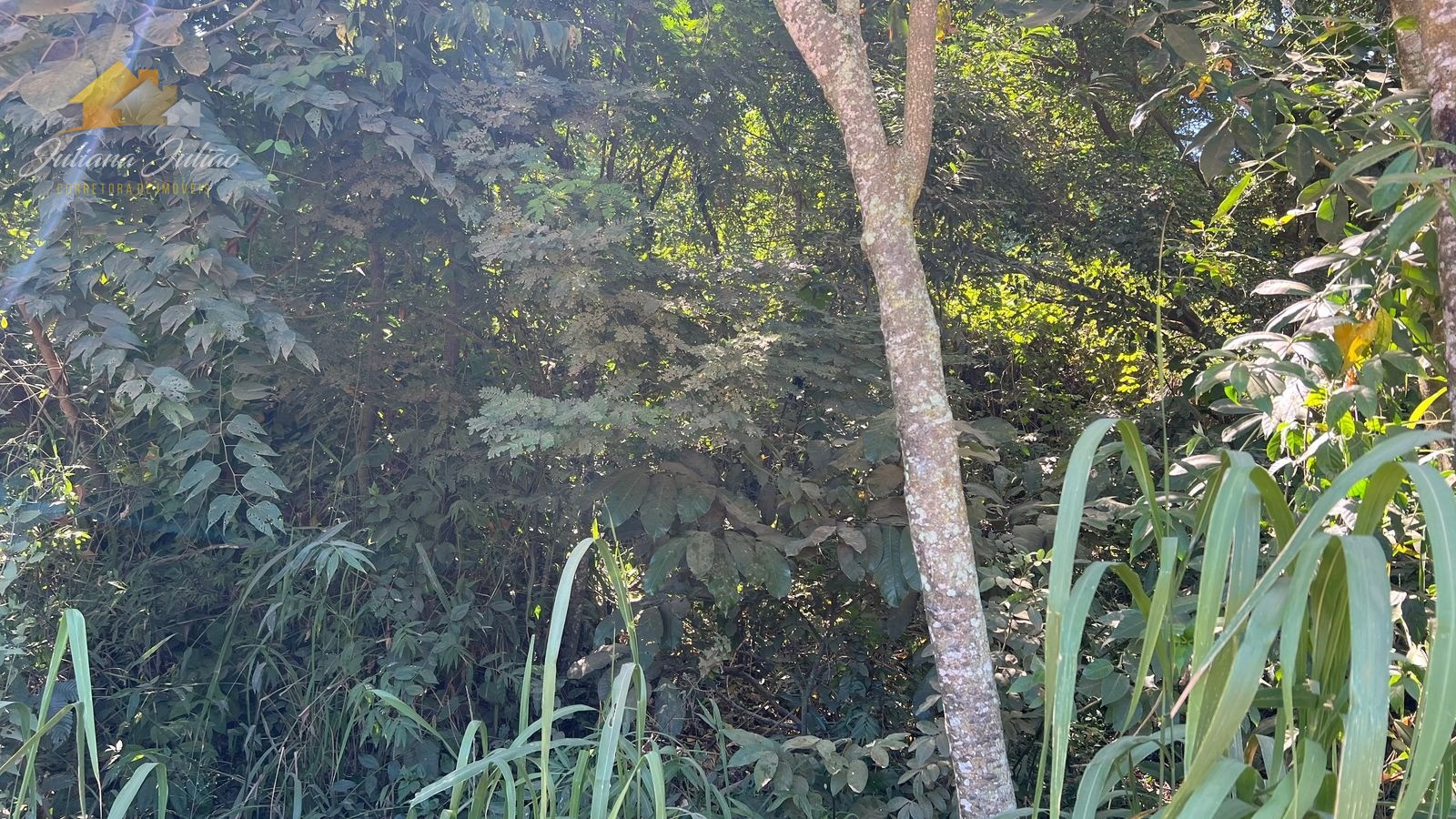 Terreno à venda, 1584m² - Foto 2