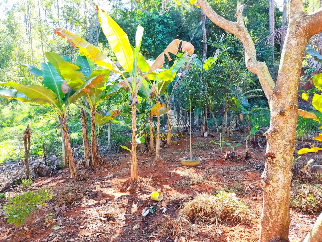 Casa, 2 quartos, 208 m² - Foto 8