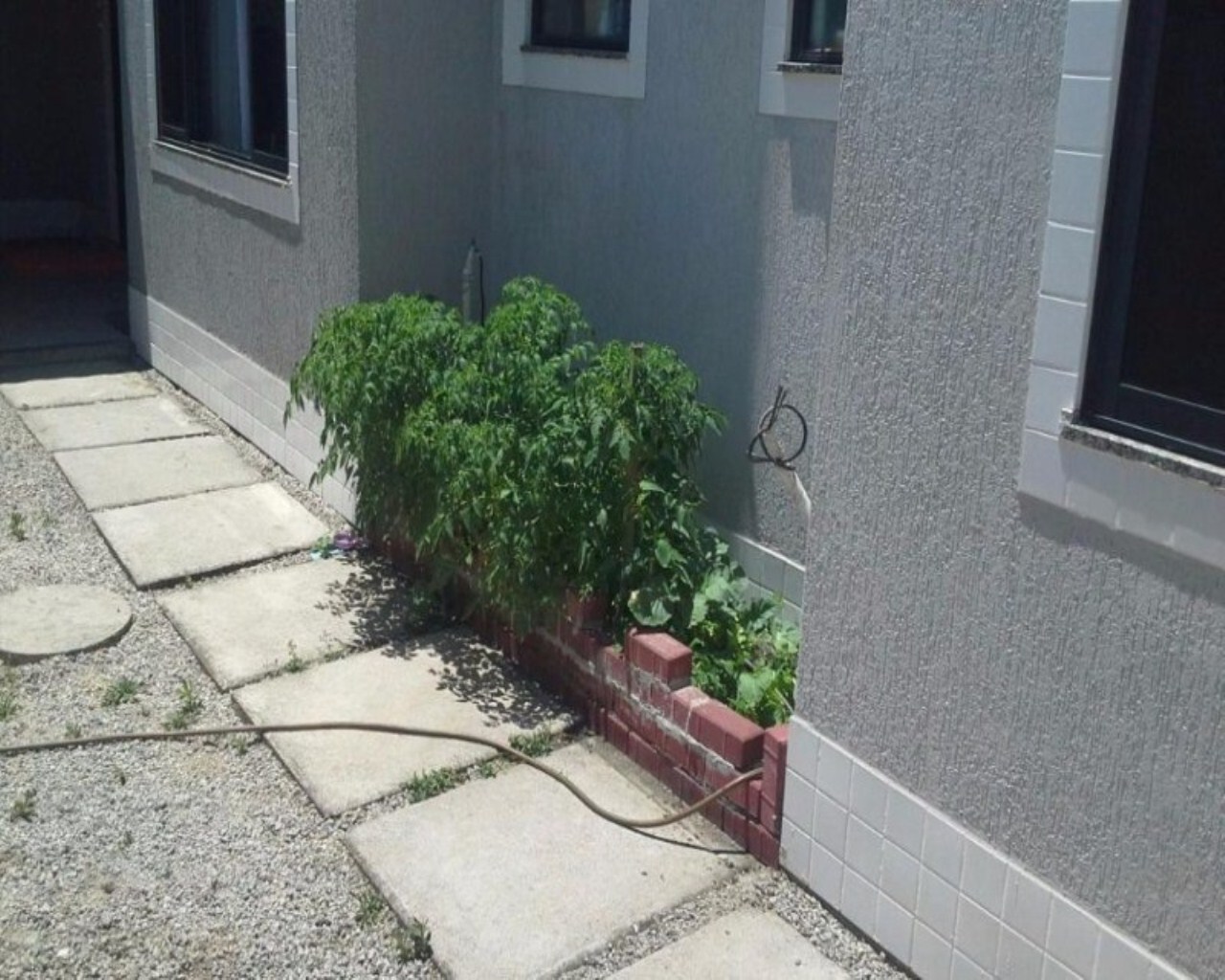 Apartamento à venda com 2 quartos, 72m² - Foto 28