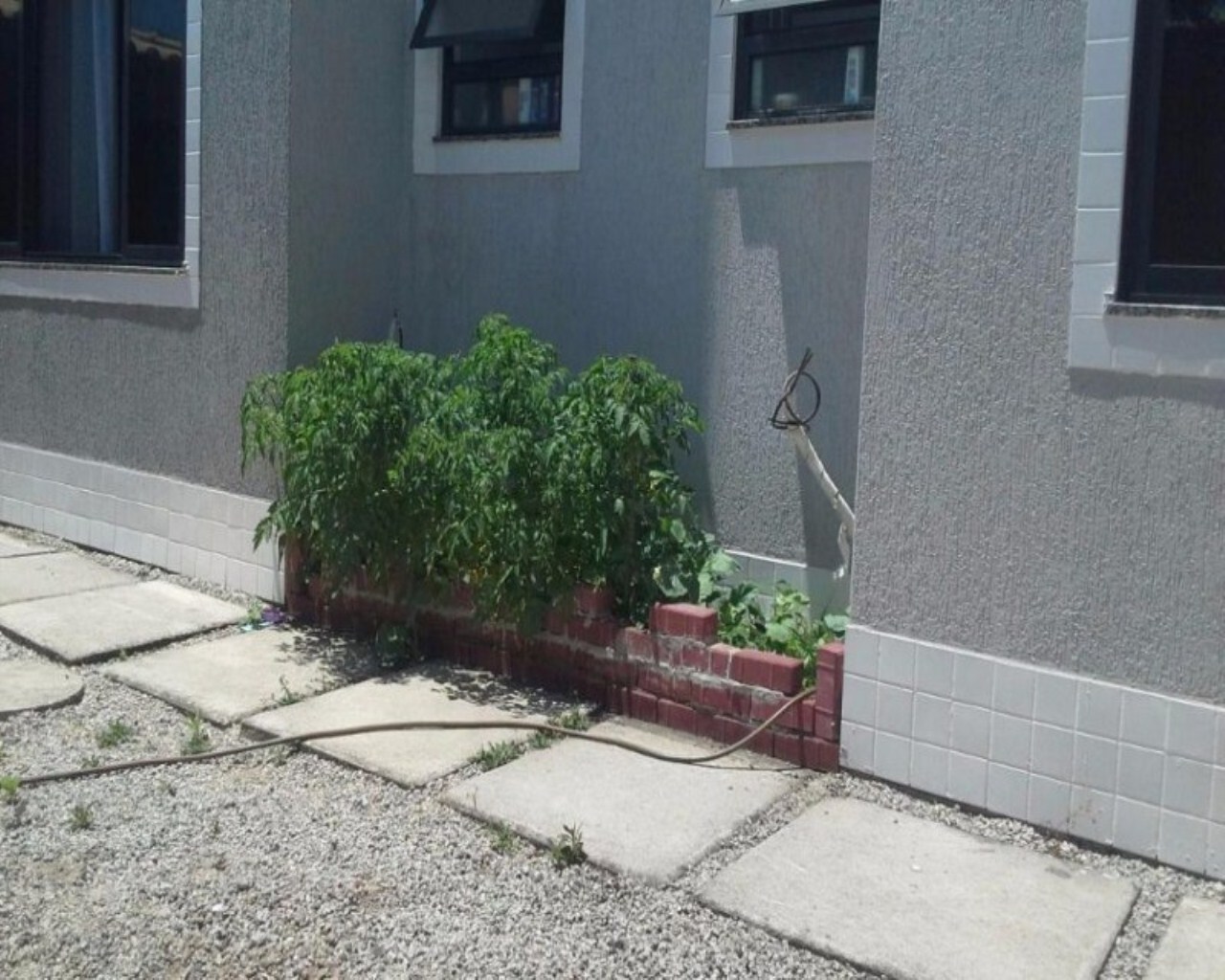 Apartamento à venda com 2 quartos, 72m² - Foto 30
