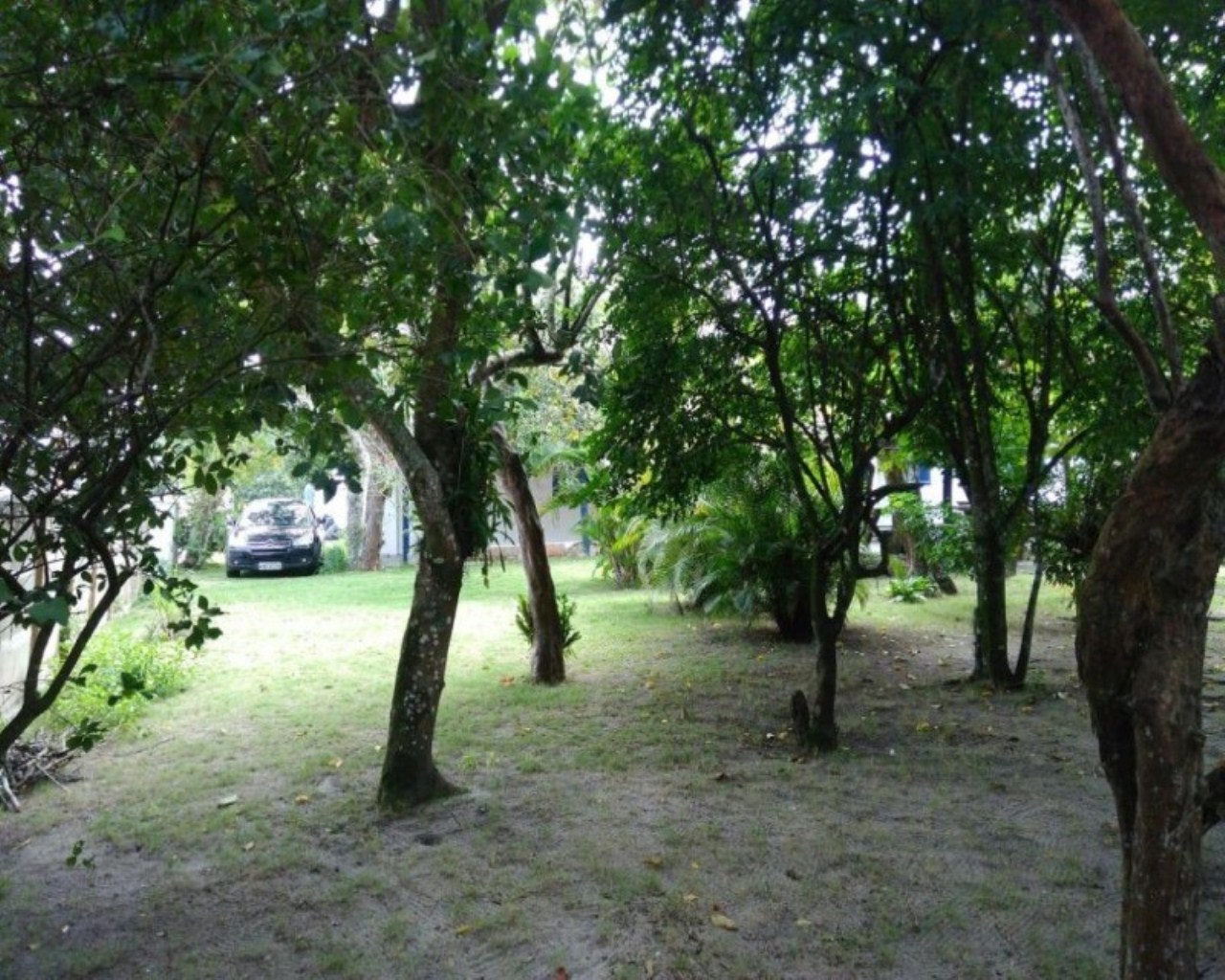 Casa, 3 quartos, 300 m² - Foto 5