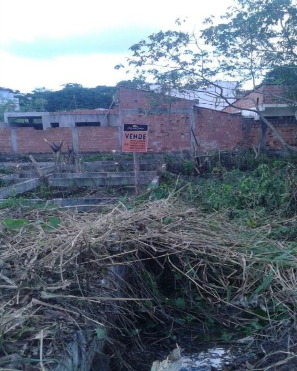 Terreno à venda, 350m² - Foto 5