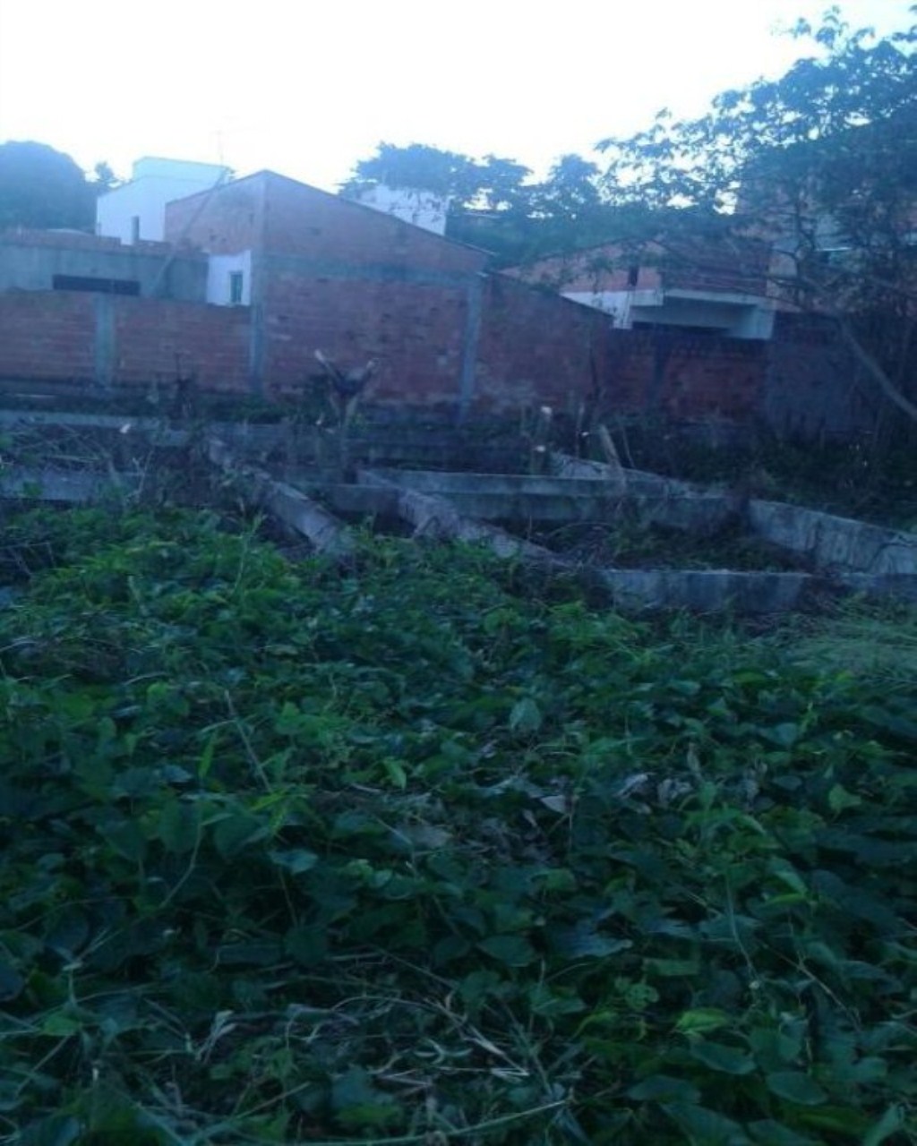 Terreno à venda, 350m² - Foto 6