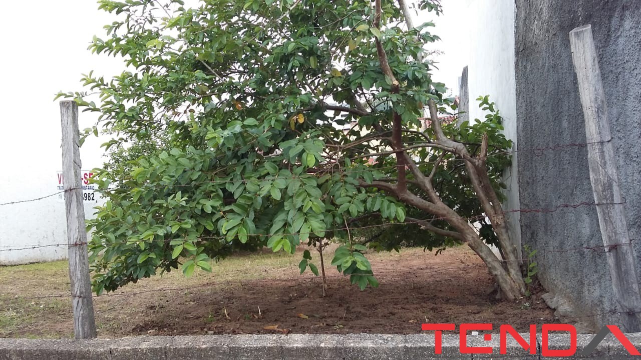 Loteamento e Condomínio, 250 m² - Foto 2