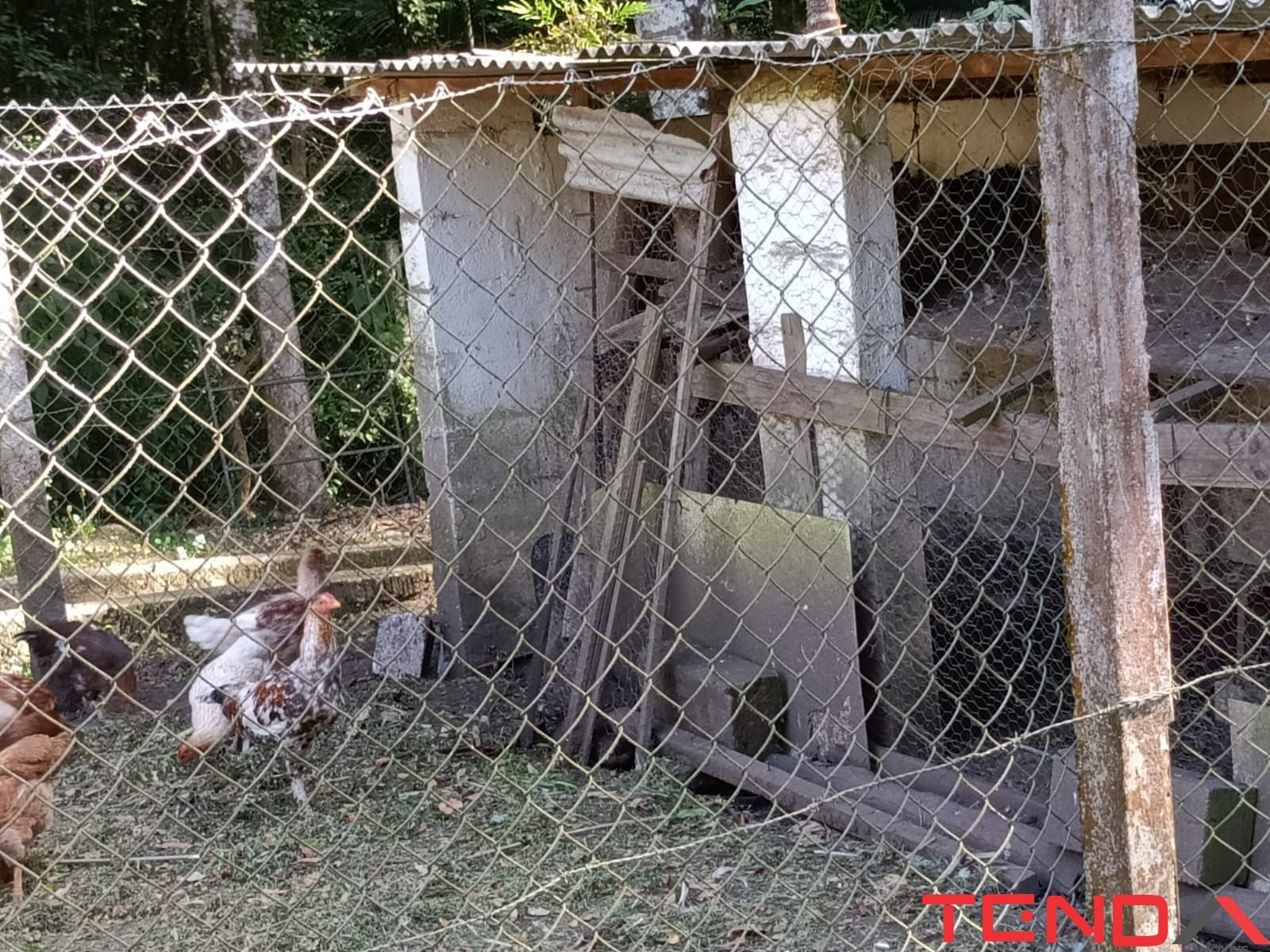 Chácara, 5 quartos - Foto 21