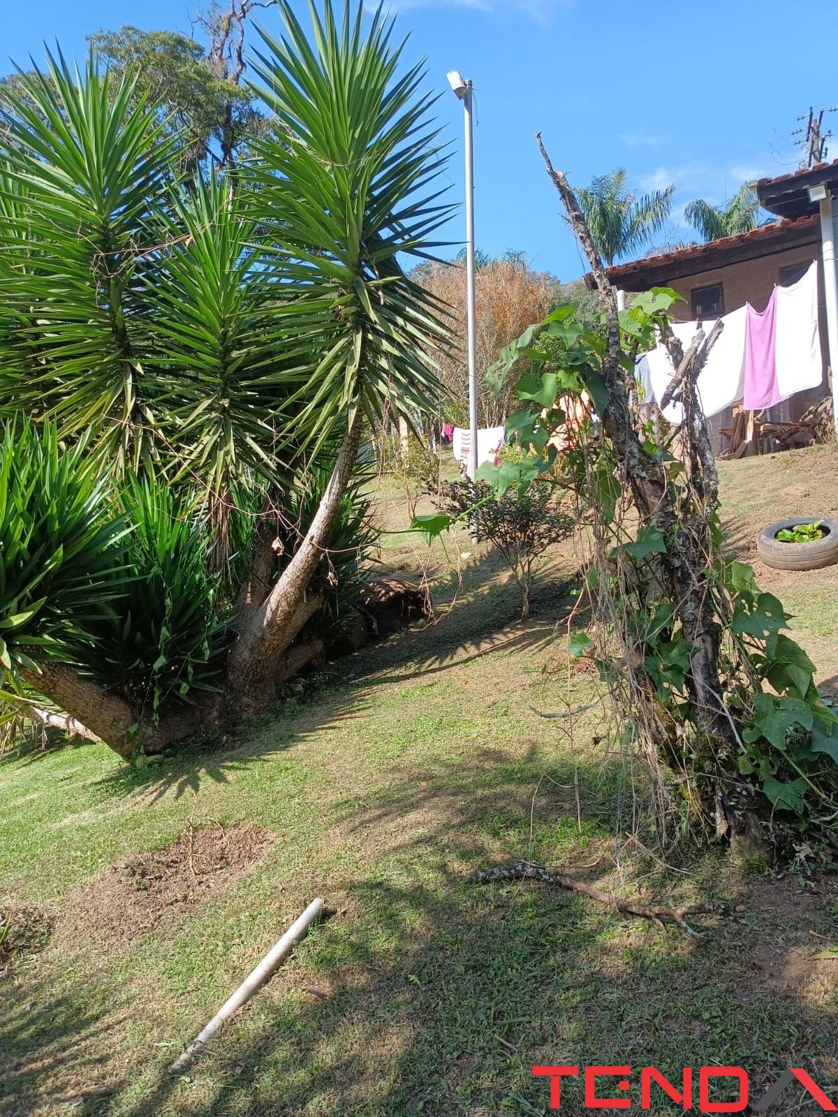 Chácara, 5 quartos - Foto 45