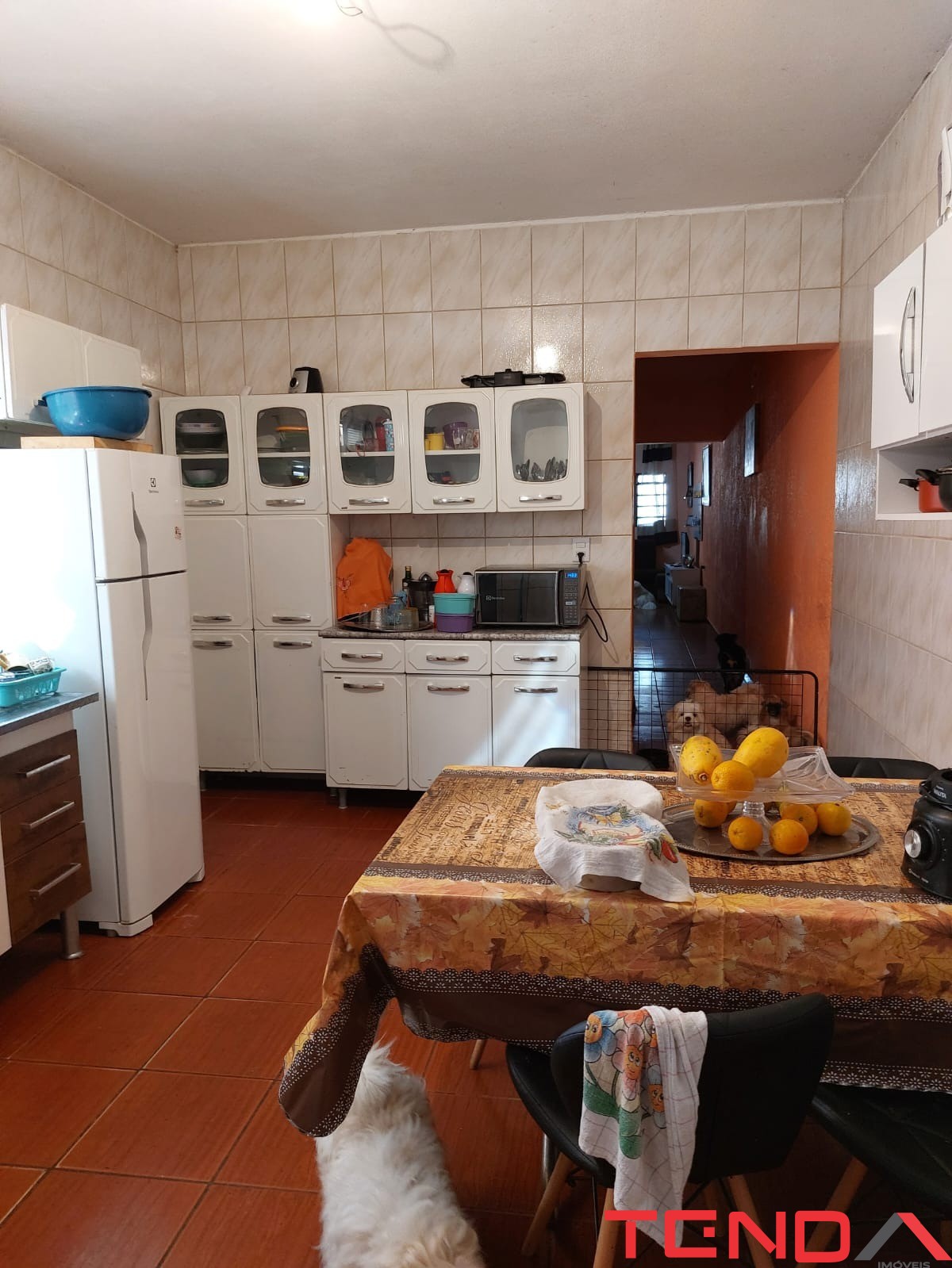 Casa, 5 quartos - Foto 7