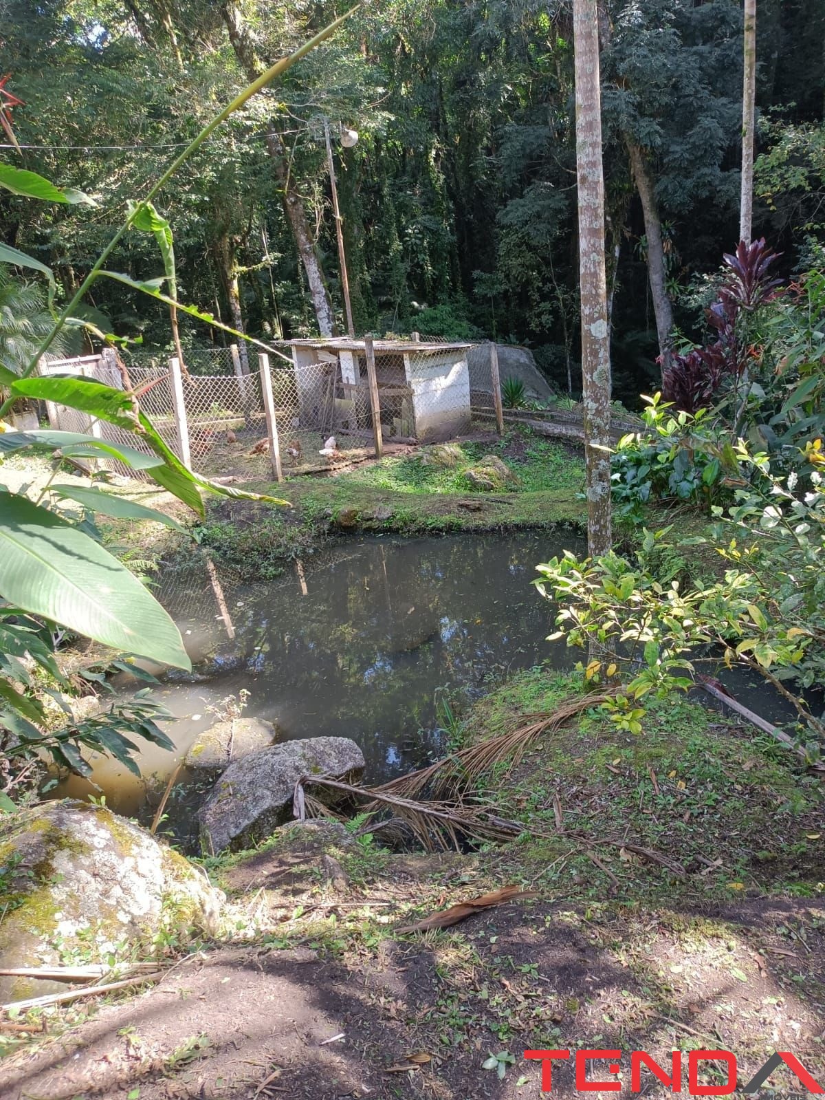 Chácara, 5 quartos - Foto 30