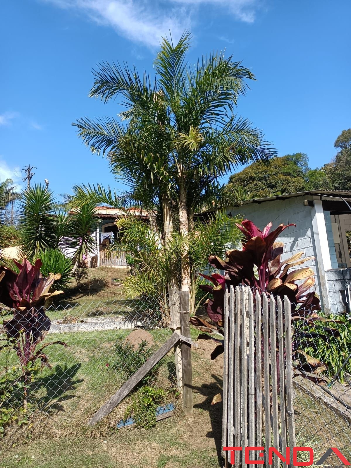 Chácara, 5 quartos - Foto 38