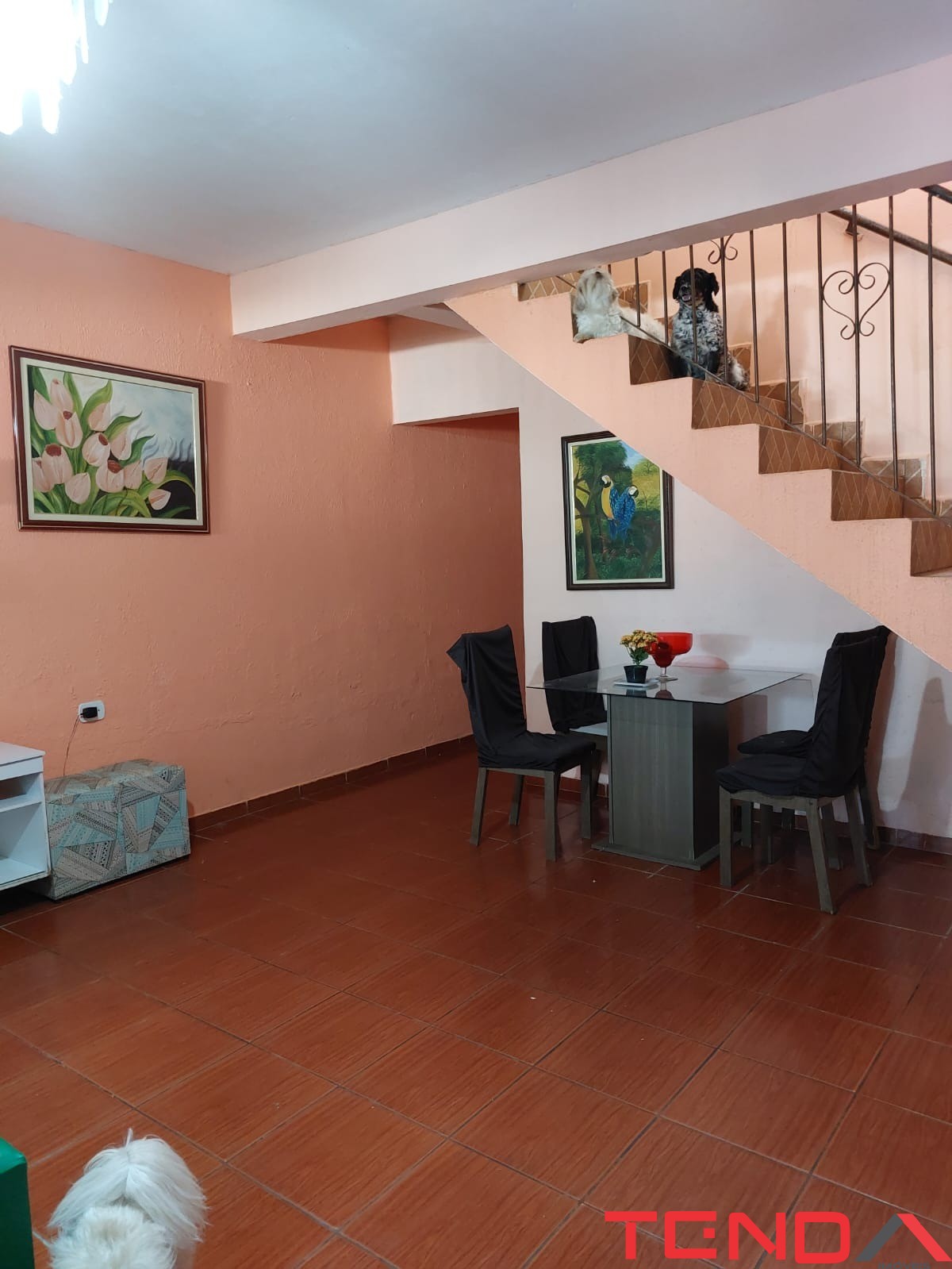 Casa, 5 quartos - Foto 1