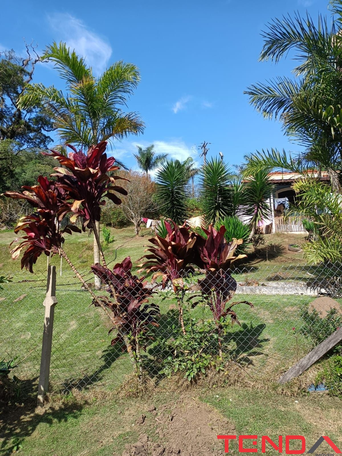 Chácara, 5 quartos - Foto 37