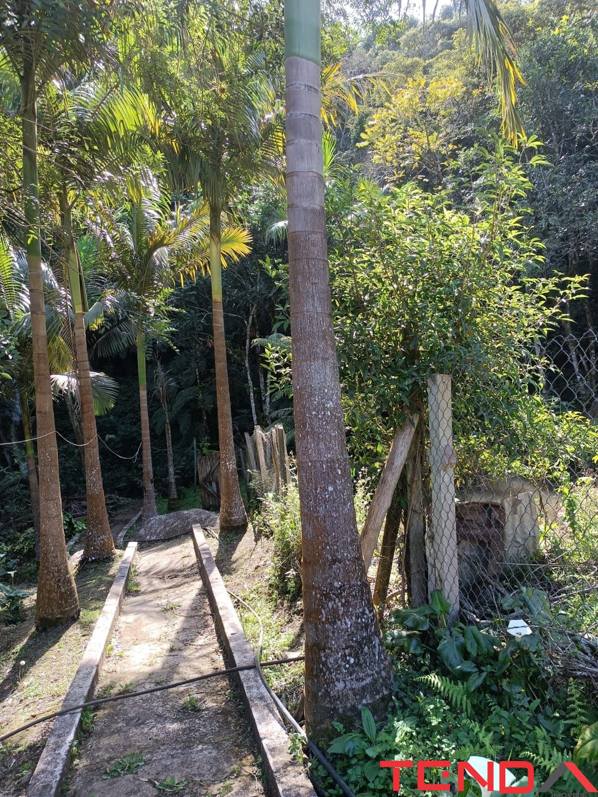 Chácara, 5 quartos - Foto 35