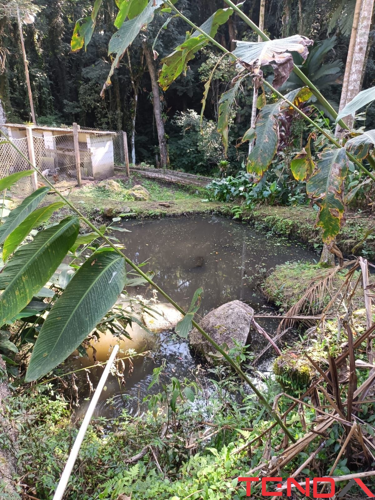 Chácara, 5 quartos - Foto 31