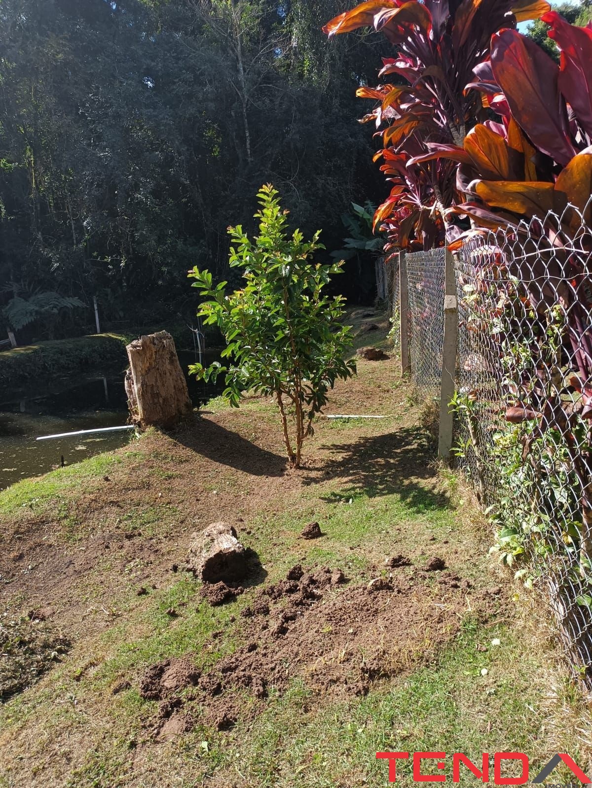 Chácara, 5 quartos - Foto 44