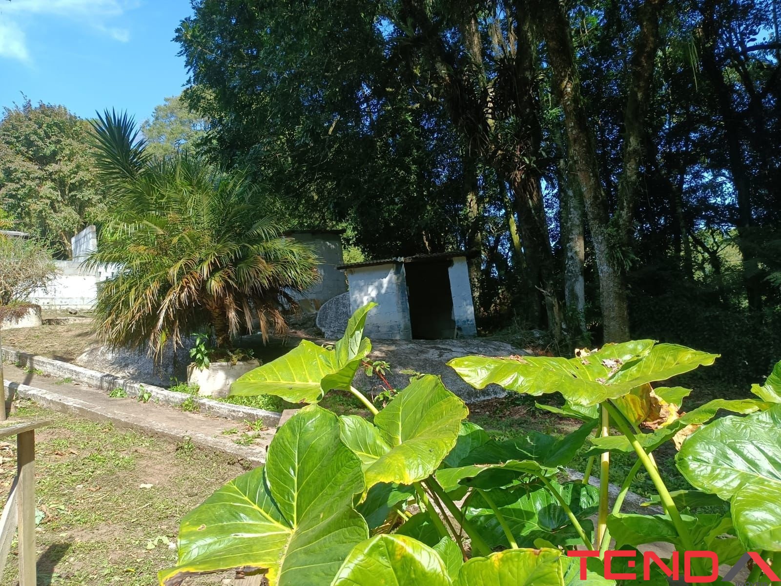 Chácara, 5 quartos - Foto 15