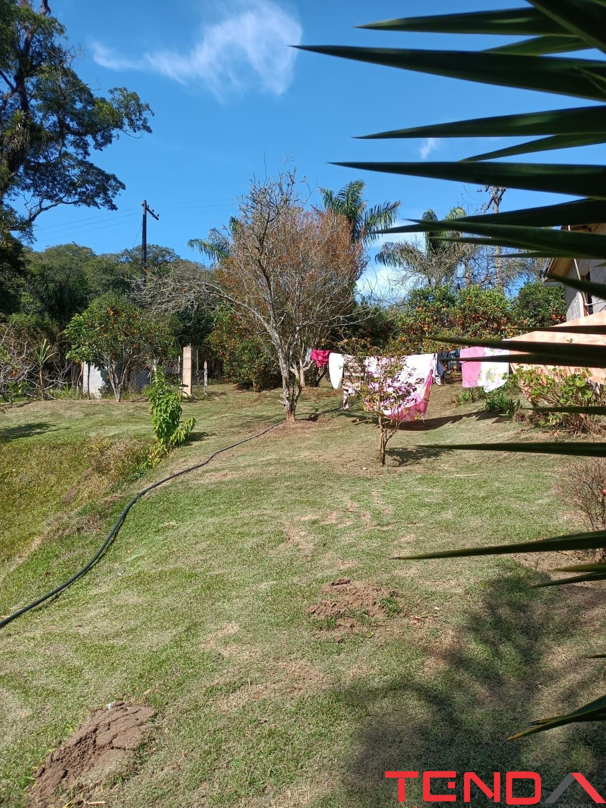 Chácara, 5 quartos - Foto 49