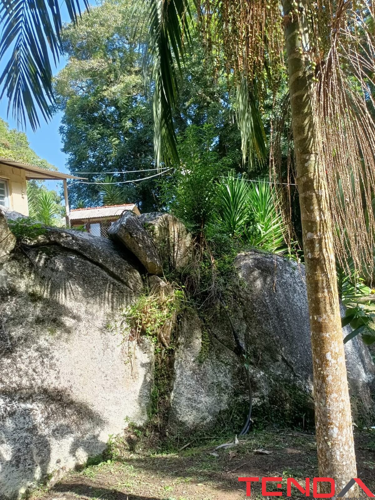 Chácara, 5 quartos - Foto 33