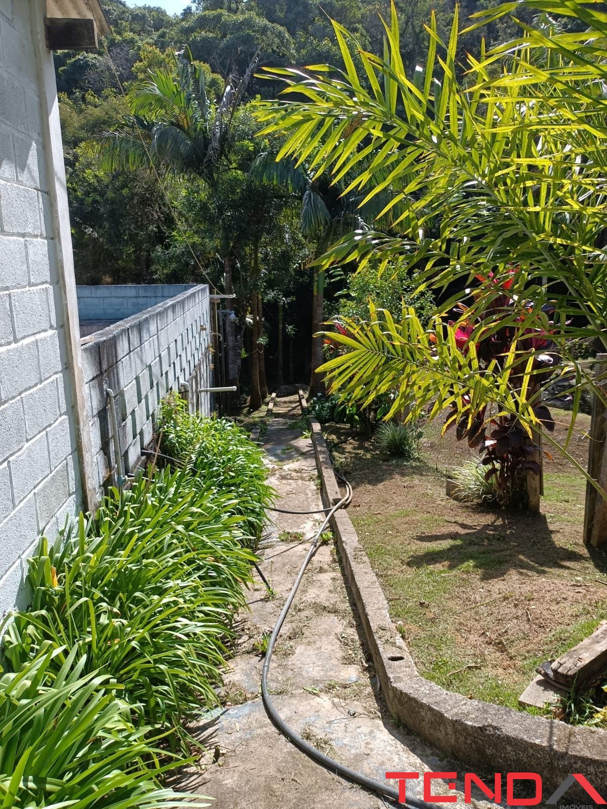 Chácara, 5 quartos - Foto 12