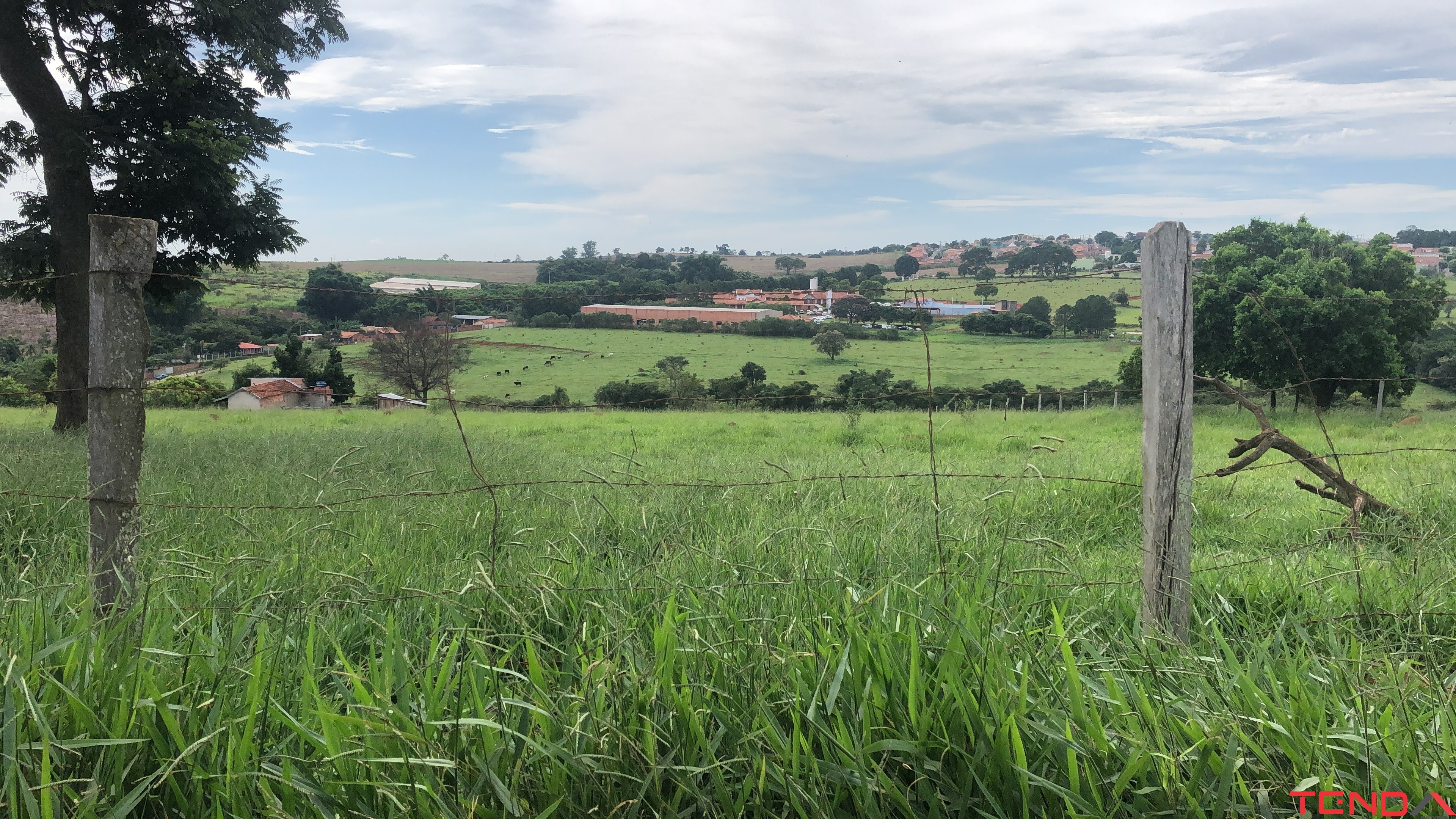 Terreno, 4 hectares - Foto 2