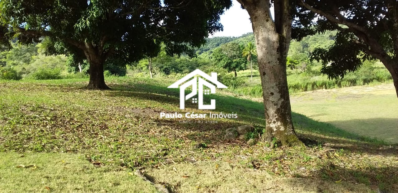 Casa, 4 quartos, 500 m² - Foto 12