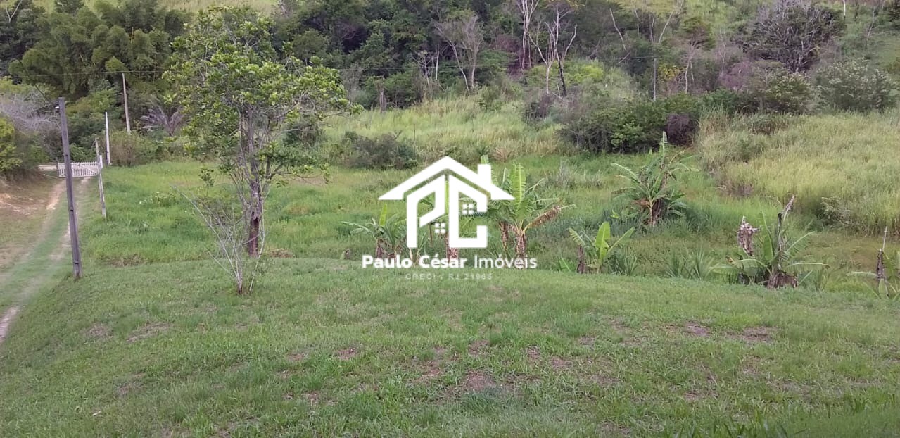 Casa, 4 quartos, 500 m² - Foto 13