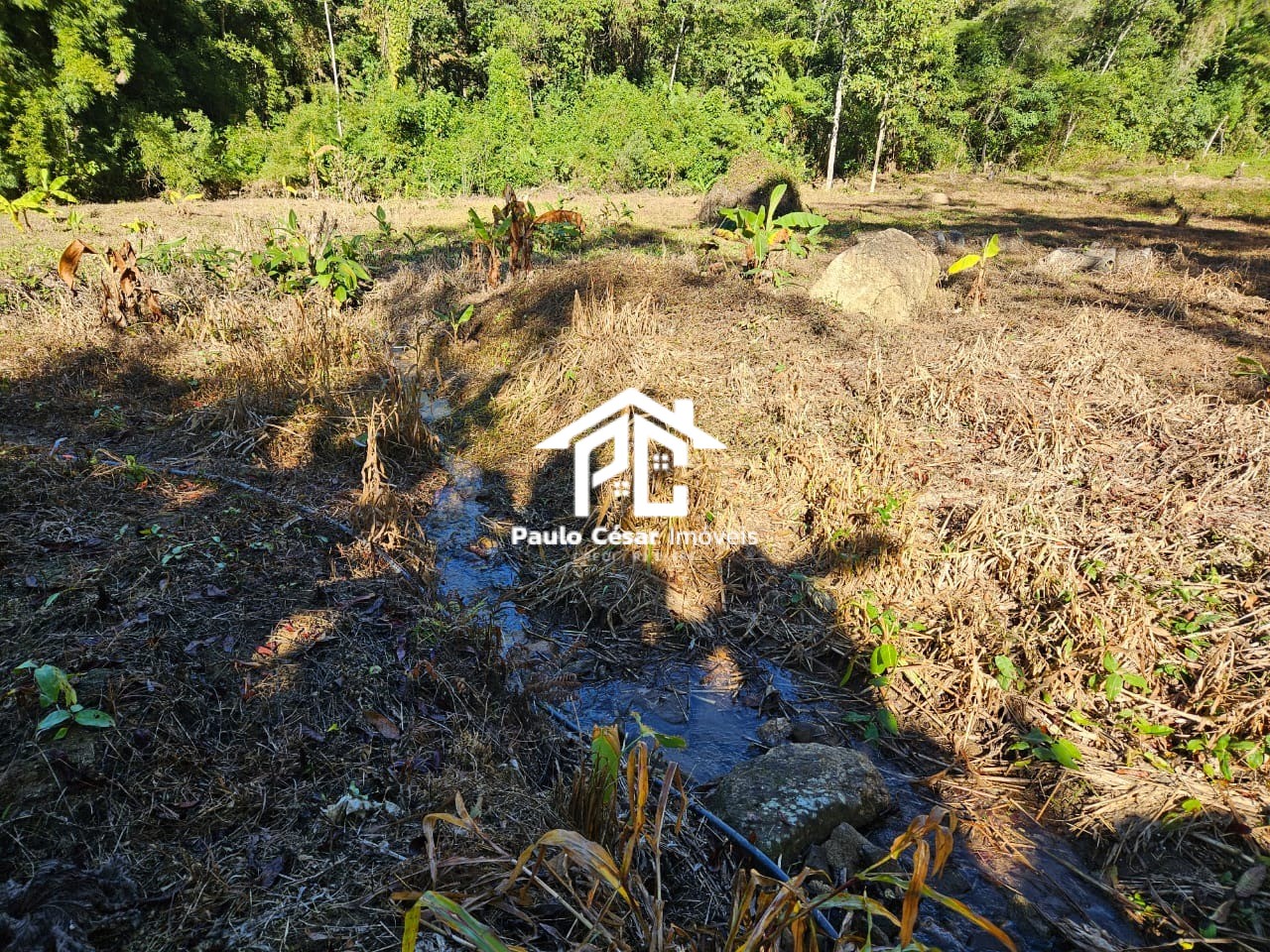 Terreno, 8000 m² - Foto 2