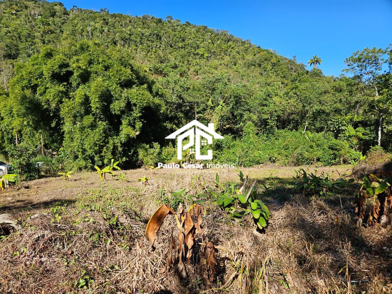 Terreno, 8000 m² - Foto 5