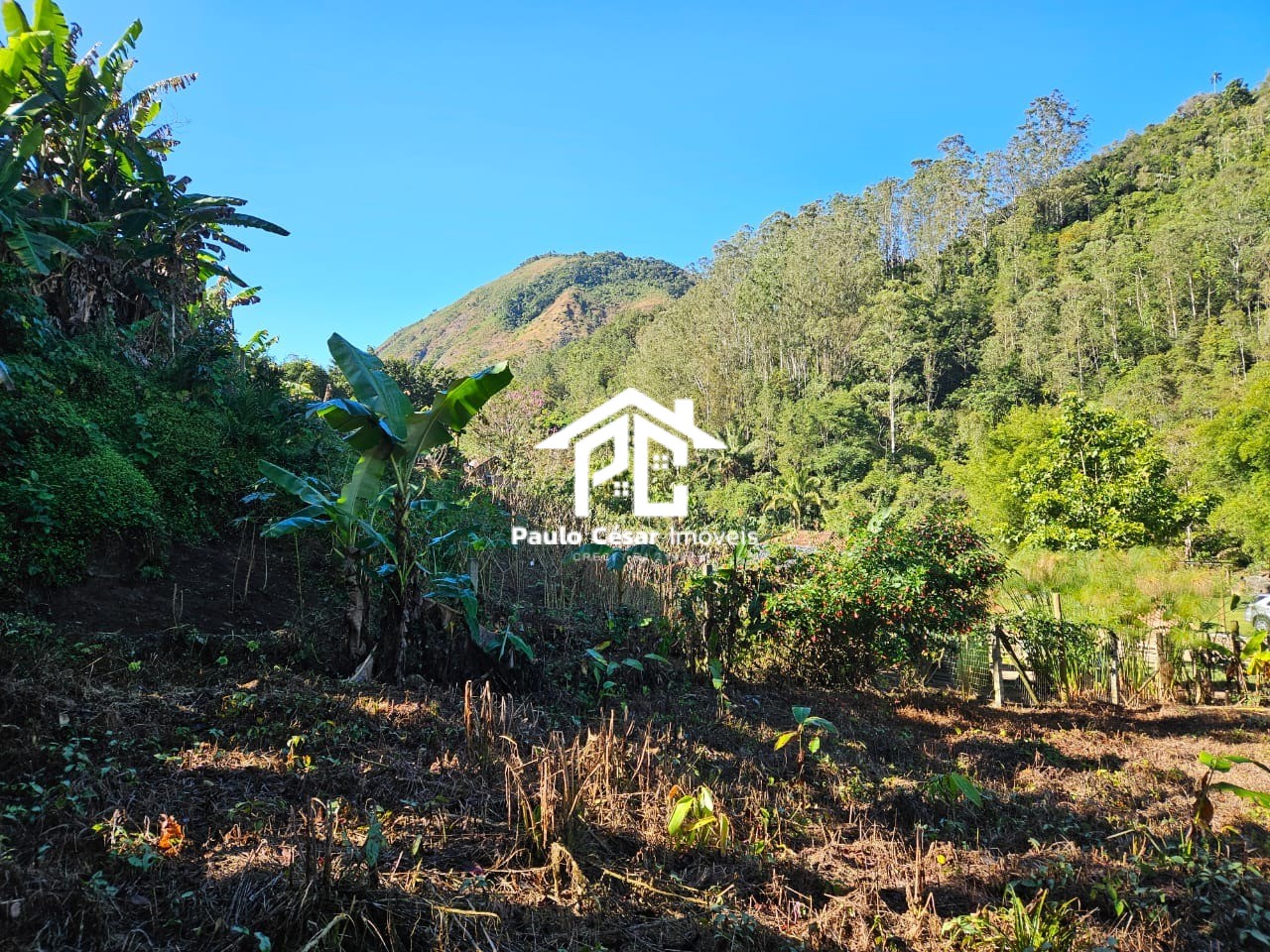 Terreno, 8000 m² - Foto 3