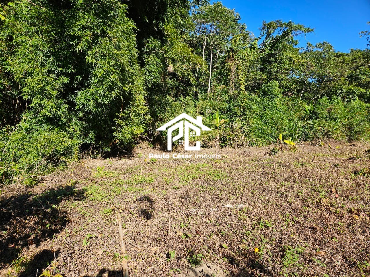 Terreno, 8000 m² - Foto 12