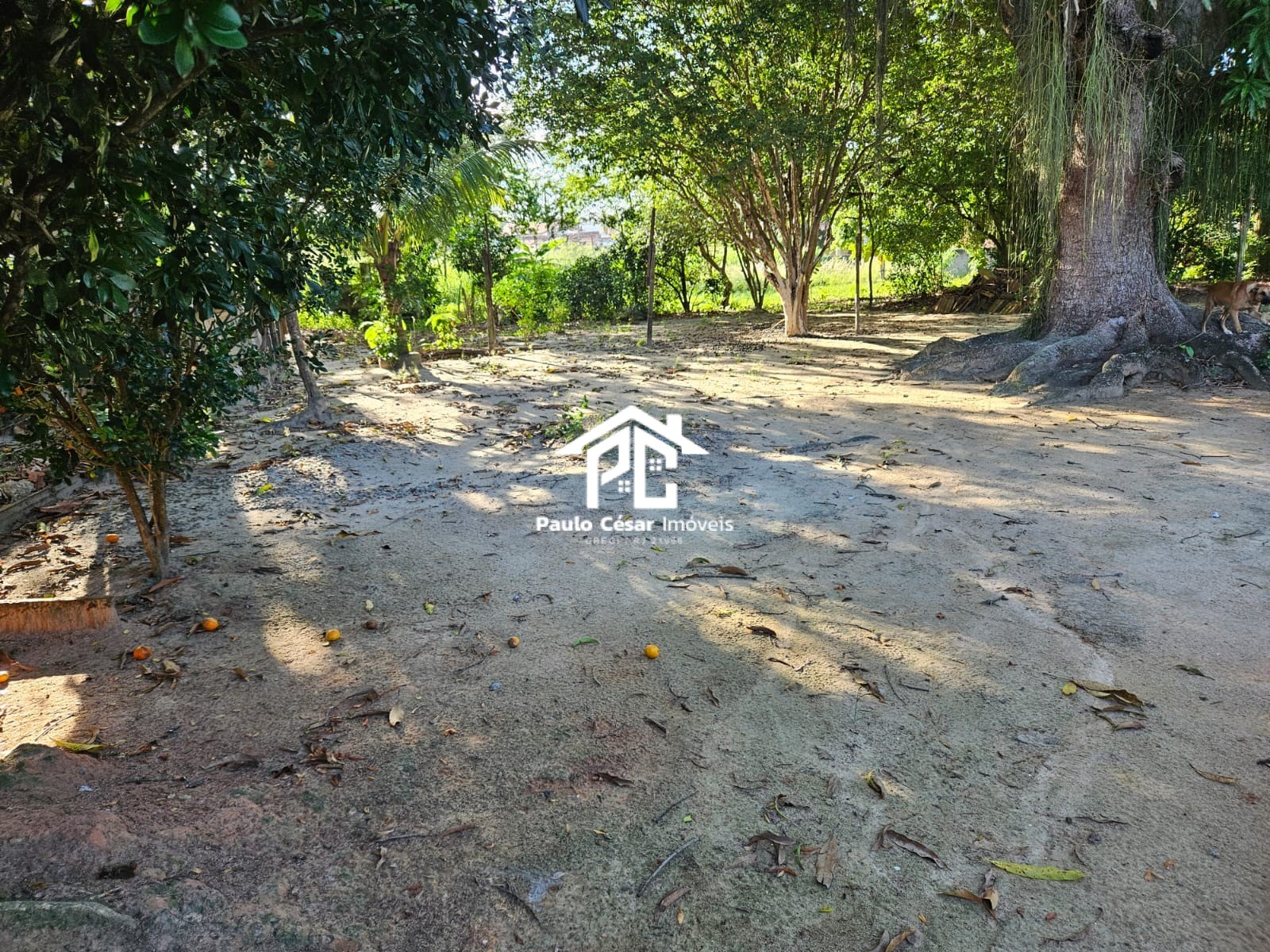 Terreno, 9216 m² - Foto 6