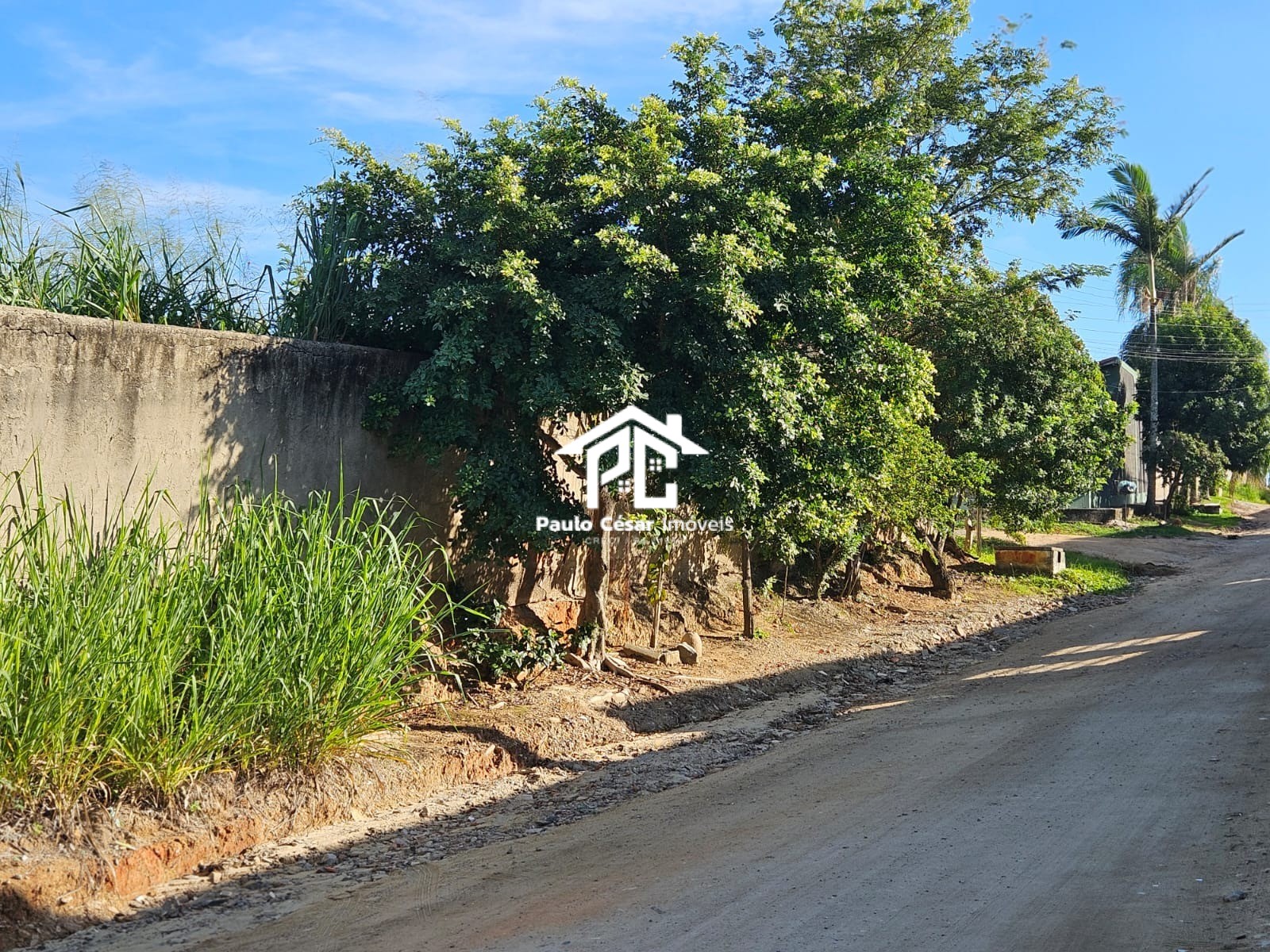 Terreno, 9216 m² - Foto 9