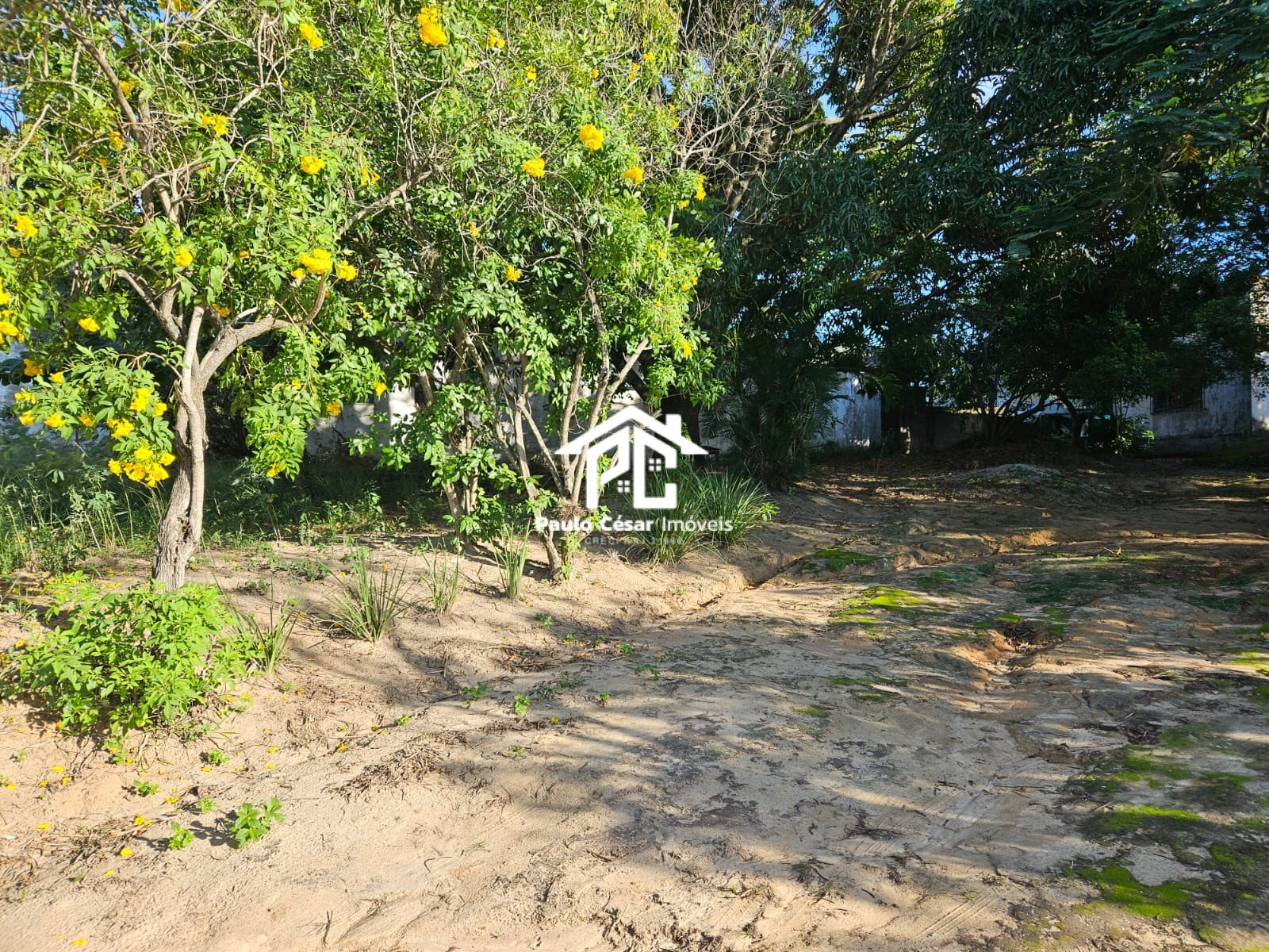 Terreno, 9216 m² - Foto 4