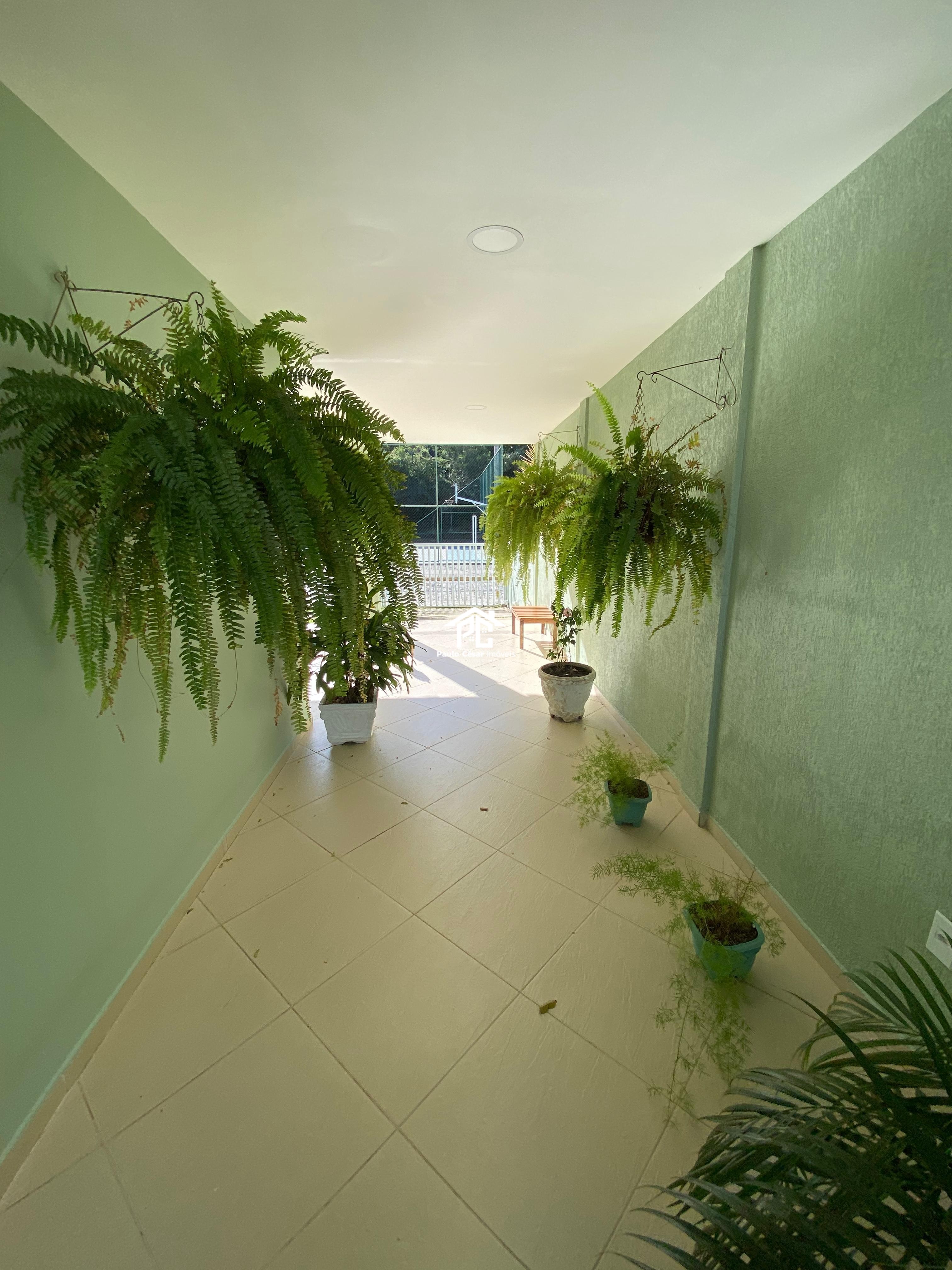 Casa, 4 quartos - Foto 4