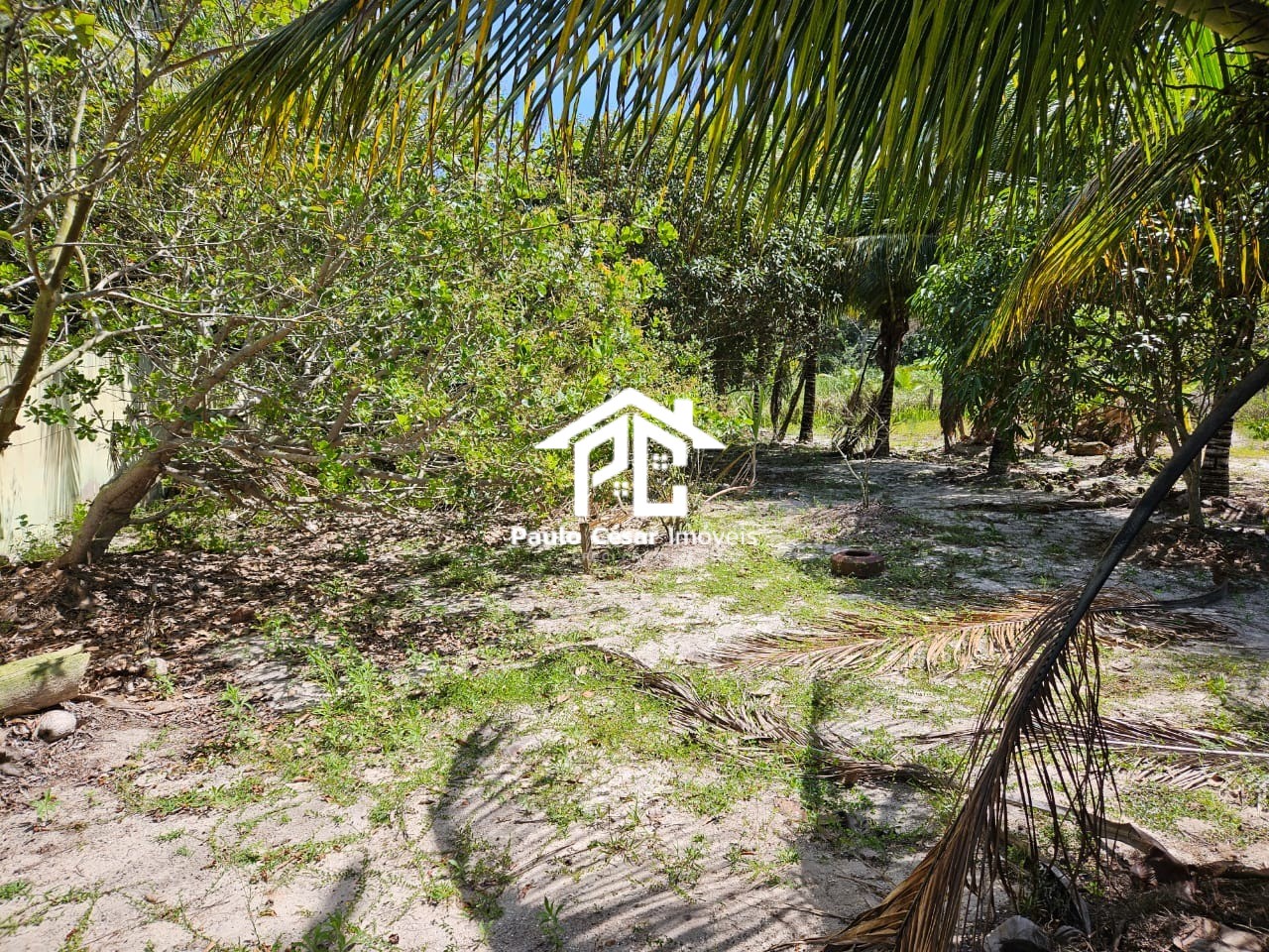Terreno, 450 m² - Foto 6