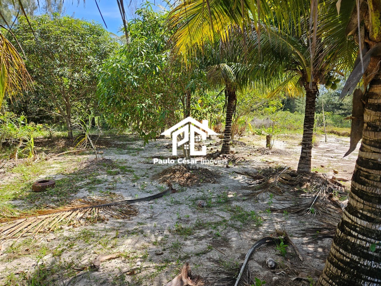 Terreno, 450 m² - Foto 7