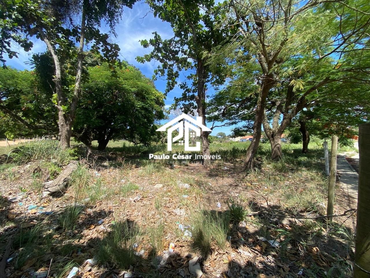 Terreno, 2 hectares - Foto 2